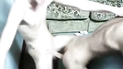 Face Cum Gay Teen Fuck! - Bareback Action!