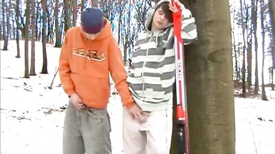 Winter Skater Boys: A Brynos Video Porn Adventure!