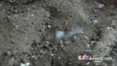 Asian Cum Shots Twink Beach Party