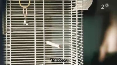 Lustful Blue - Short Gay Porn Film