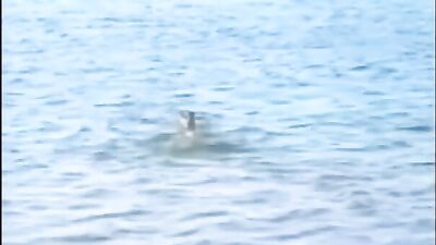 Old-School Blond Boy Porn: Nice Ass Delights