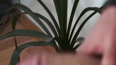 Studying Stud: Hot Gay Porn with Twink and Cum Shots