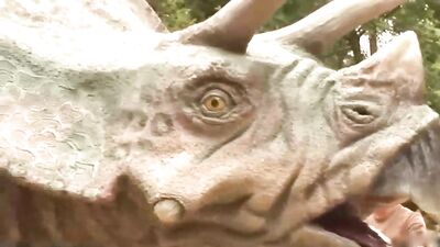 Young Wild Twinks Porn Adventure!