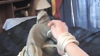 Mohawk Boys Fetish Porn: Bondage and Kinky Fun!