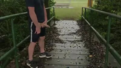 Gay Blowjobs, Sucks & Fucks: A Wild Boy Porn Adventure