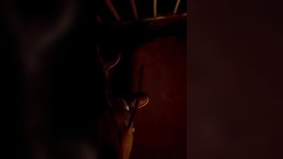 My Brother-in-Laws Secret: Public Outdoor Sex in the City Bridge!