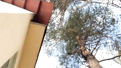 Backyard Boys XXX Porn - Big Cock Explosion!