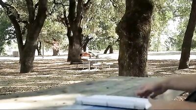 Outdoor Love Affair - 099