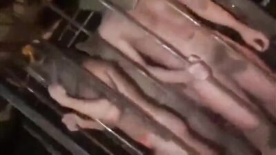 Pounded Again: Muscle Boys Take Control!