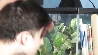 Gay Porn Teen Boys Bareback Cum Shots Handjob!