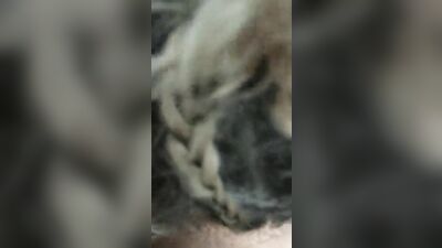 Young Black Trade Sucked off in Car for Cash Boys Porn