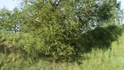 Gay Porn Group Fuck: Blond Boys Bareback Adventure