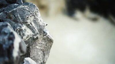 Gay Scouts and Cock Boys Porn: Action Amature Ass Play