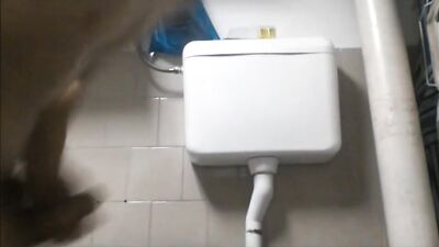 Toilet Boys - Amateur Cum Shots Handjob Gay Porn Video