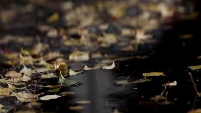 Gay Love Short-Film: Exploring Passion and Desire on the Tube!