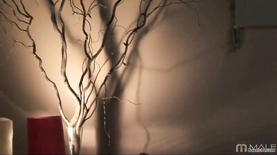 Swiss Loves Gay Porn Tube XXX: Ultimate Thrills with Handsome Hunks