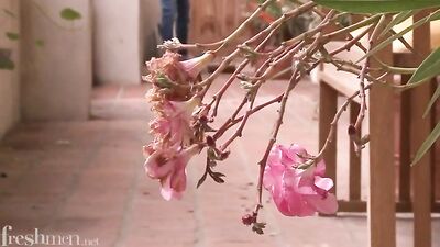 Twinks in the Garden: The Ultimate Gay Porn Hookup