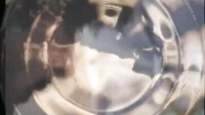 Gay Porn - Classic Kip Noll Superstar Boys: Action Bareback Big Cocks OR Bareback Action: The Classic Kip Noll Superstar Boys Gay Porn