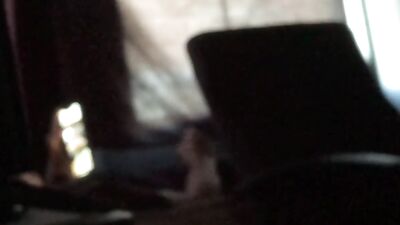 Sexual Desires Unleashed: Caught My Brother Again Watching Boys Porn