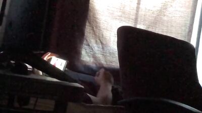 Sexual Desires Unleashed: Caught My Brother Again Watching Boys Porn