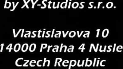 Gay Porn Twinks House Full: Action-Packed Big Cocks Scenes!