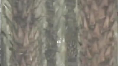 Gay Porn Anywhere Anytime - Fully Uncut and Vintage Videos!