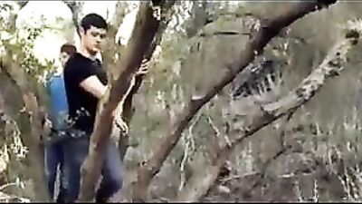 Gay Sex in Public Park: Cruising and Fresh Air Adventures!