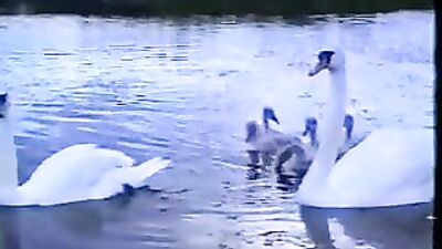 Gero Extra Gay Porn: Amature Ass Play Oral Classics!