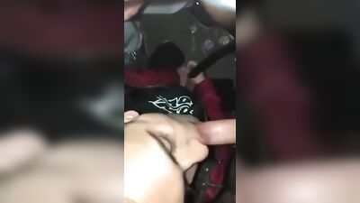 Gay Porn Friday: Caught in Sucking and Tube Boys Action!