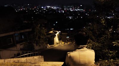 Gay Porn Fly by Night