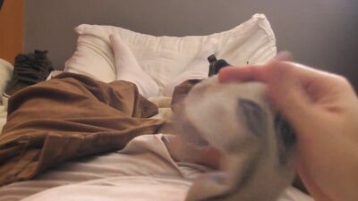 Solo Sock Wank - The Ultimate Gay Tube Experience!