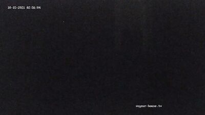 Frat Boy Fuck Fest: Spy Cam Voyeurism and Bareback Action!