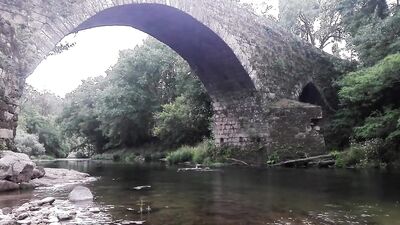 Outdoor Cumming Swim Buddies - Gay Porn