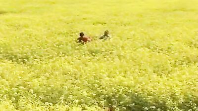 Gay Teen Sexy Porn - Juicy young boys couple: Bareback Cum Shots Handjob!