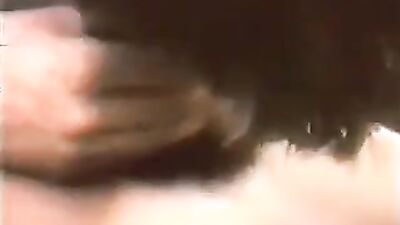 Golden Twinks Mix: A Vintage Gay Porn Adventure