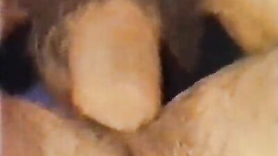 Pirates Treasure - The GBT Boy Porn At The Pool