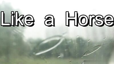 Gay Twinks Porn - Amico Viggo: Like a Horse!