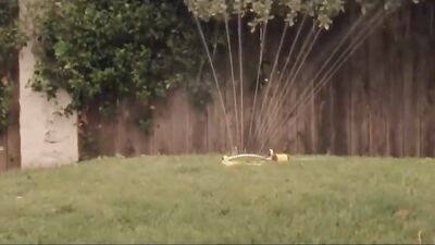 Teeth XXX - The Ultimate Short Gay Porn Video!