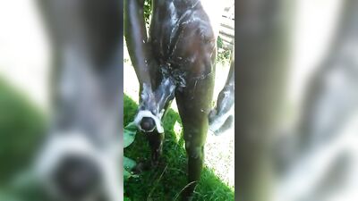 Gay Outdoor BBC Cocks: Soapy Tube Public Explore the world of gay porn with BBC Soapy Tube Outside in this video featuring big black cocks outside.