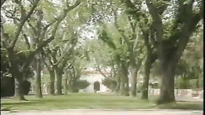 Head Of The Class: Gay Porn Videos - Big Cocks & Bareback Action