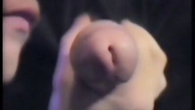 Gay Porn Videos Midnight Special: Action Bareback Big Cocks