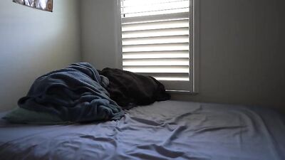 Purple Hair Passion - A Gay Porn Video