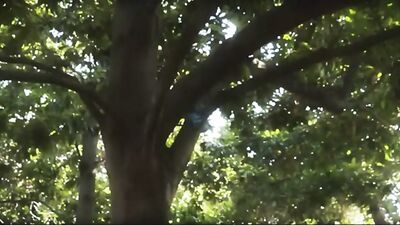 Gay Porn Adventure - Short Movie: You make it real!