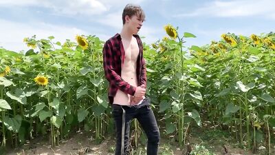 Outdoor Cum Shots Handjob: Sunflower Wankfest