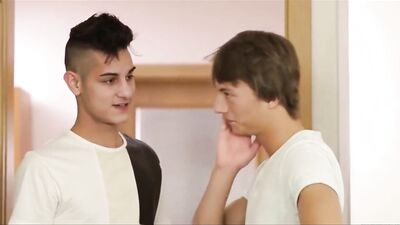 Twinks Reunion - Wild Gay Sex Adventure