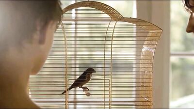 Forbidden Love: A Gay Porn Musical Short