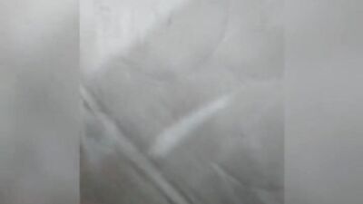 Horny Amateurs Pounce on Sexy Asses and Cum!