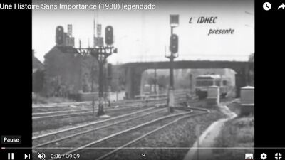 Short & Wild: A Gay Porn Adventure!