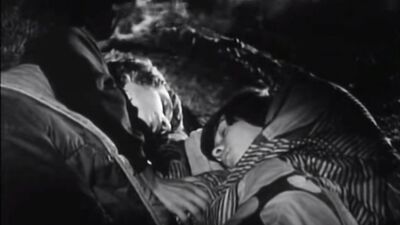 Short & Wild: A Gay Porn Adventure!