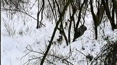 Gay tube Cold Weather Vintage Teen Boys Porn: A Winter Wonderland Of Passion And Lust